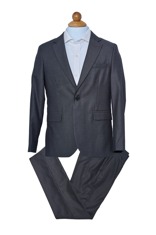 Light Gray Plain Suit